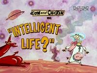 Cow And Chicken